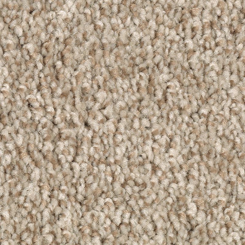 EverStrand | Tonal Chic II