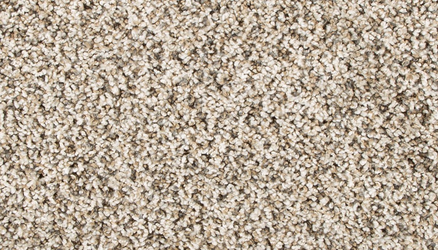 Pet Premier | Diffurent Choice II