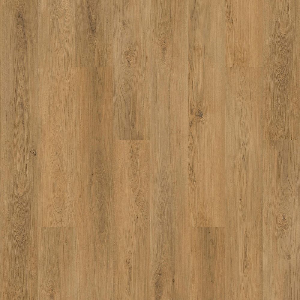 SolidTech Plus | Barker Hollow