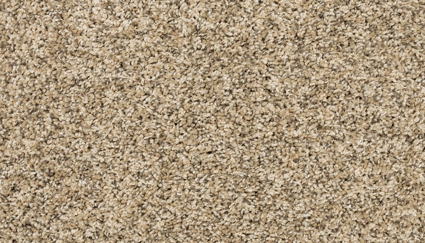 PetPremier | Diffurent Choice II