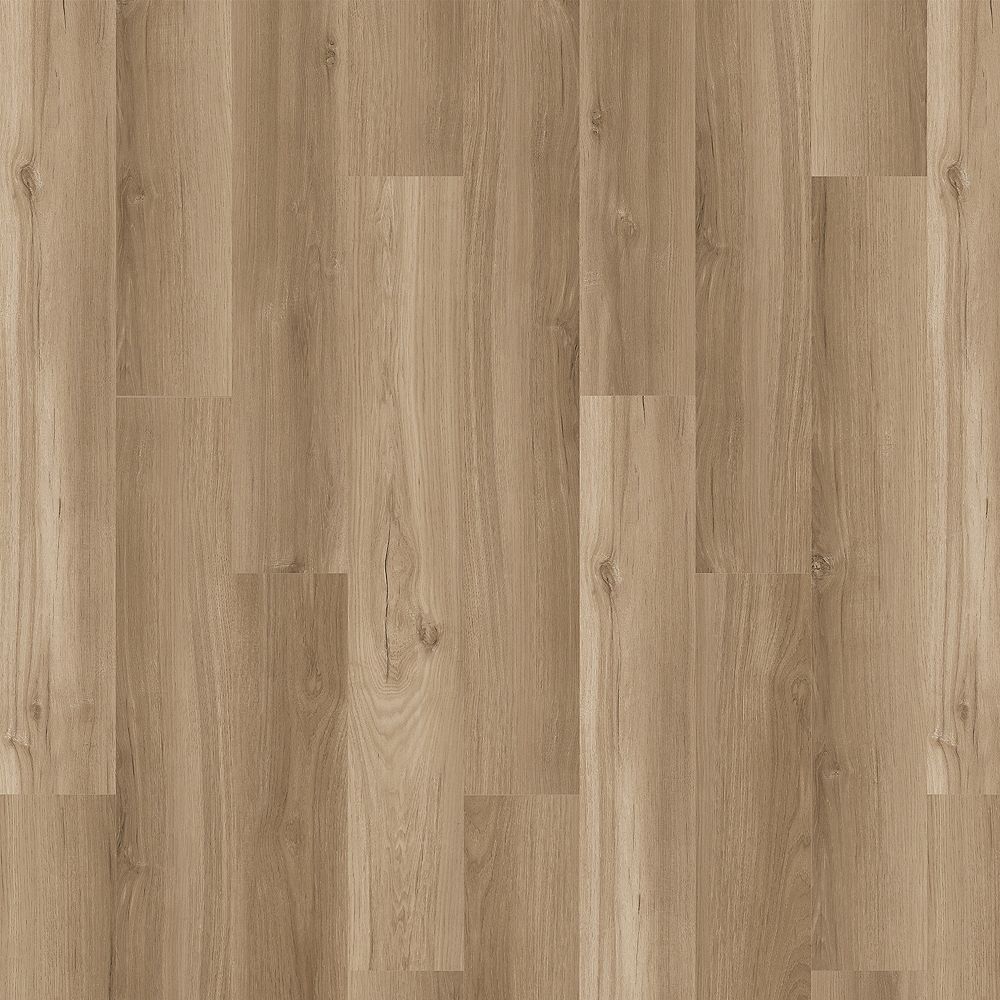 SolidTech Essentials | Arbor Terrace
