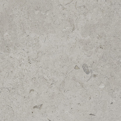 Coralina