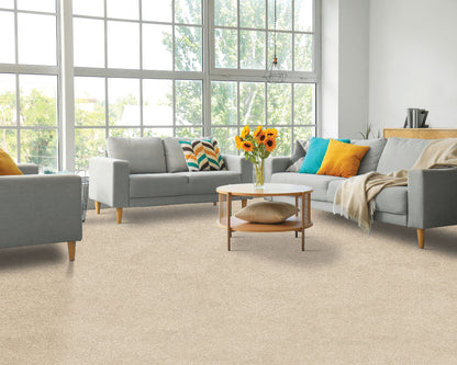 Pet Premier | Paw Pathway