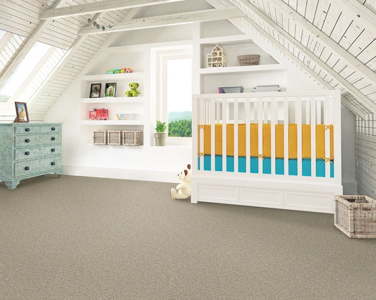 Pet Premier | Cozy Companion I