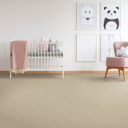 Pet Premier | Diffurent Choice I