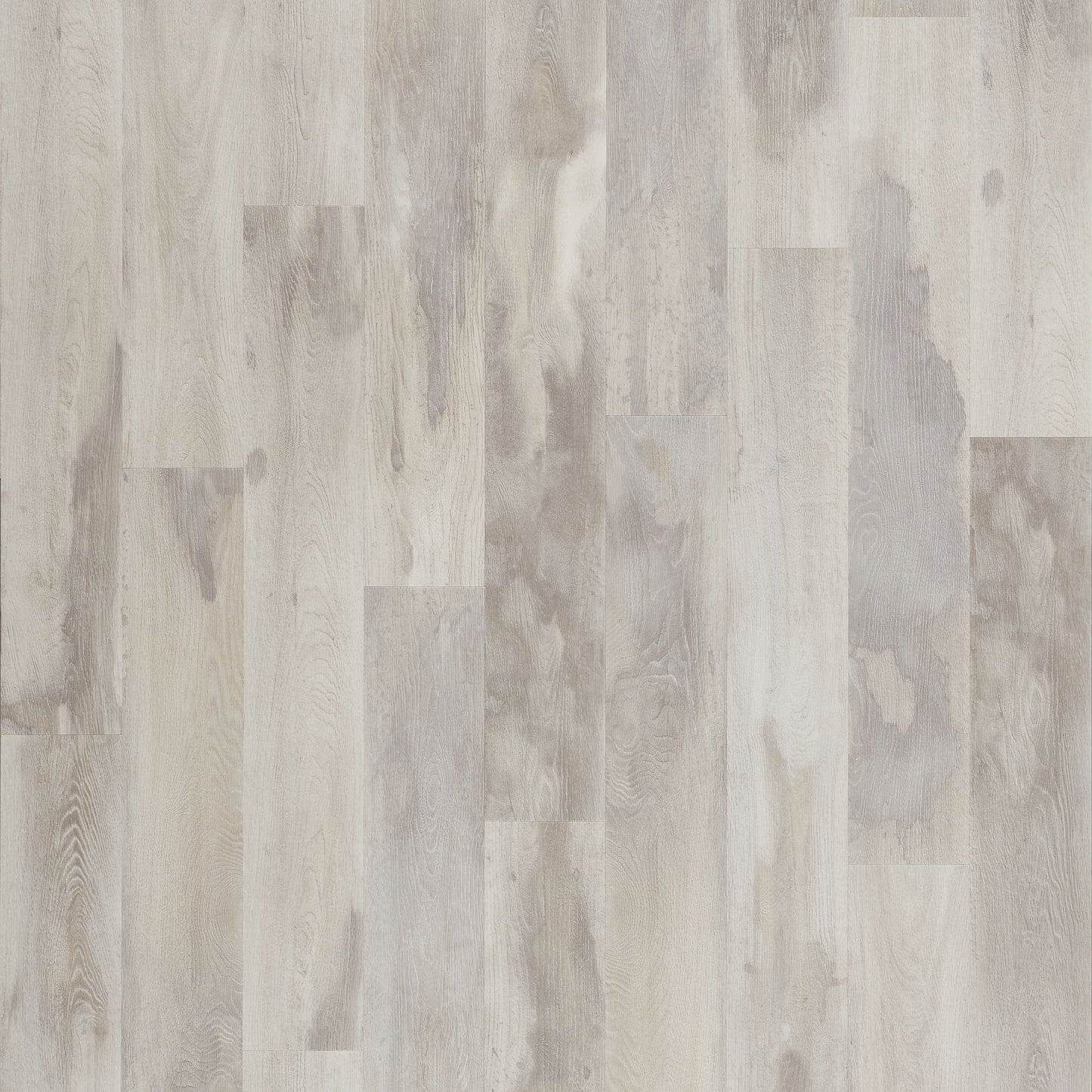 SolidTech Select | Explorer's Cove