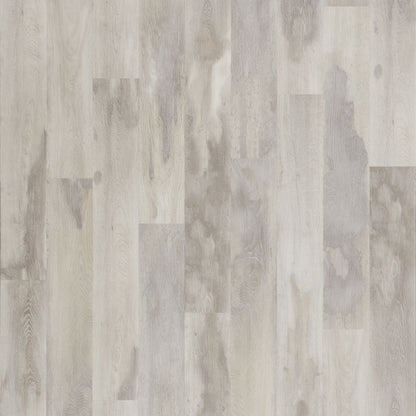 SolidTech Select | Explorer's Cove