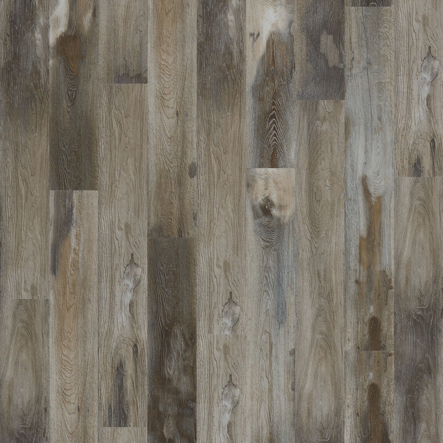 SolidTech Select | Explorer's Cove
