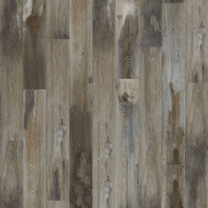 SolidTech Select | Explorer's Cove