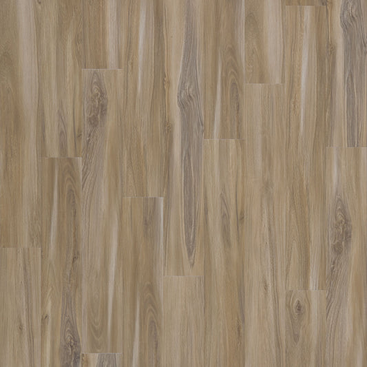 SolidTech Select | Explorer's Cove