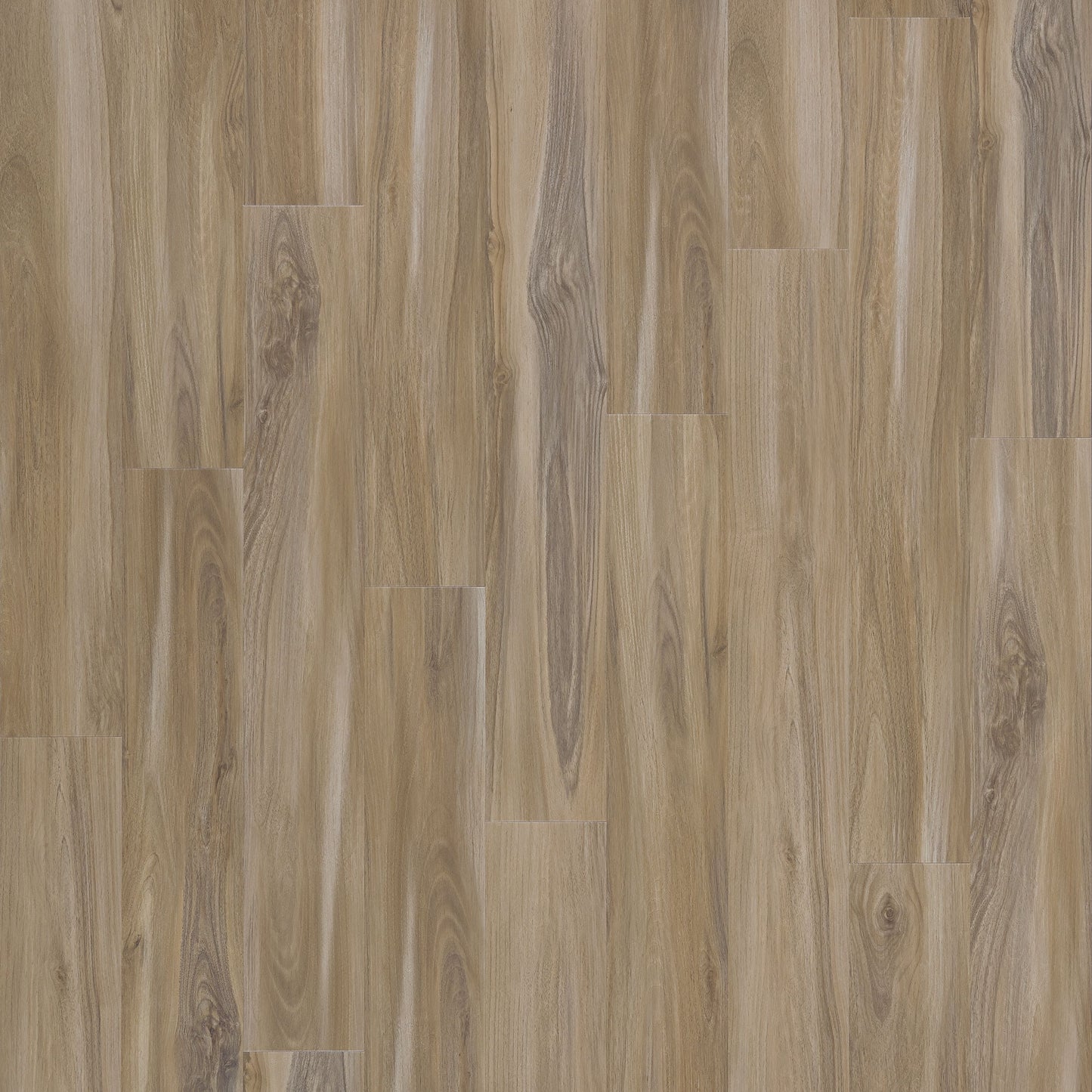 SolidTech Select | Explorer's Cove