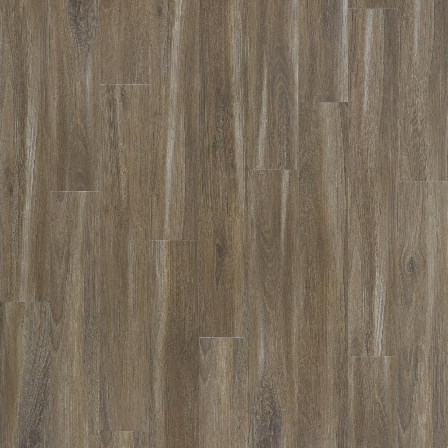 SolidTech Select | Explorer's Cove