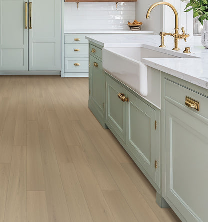 SolidTech Essentials | Whitmore Terrace 4.5