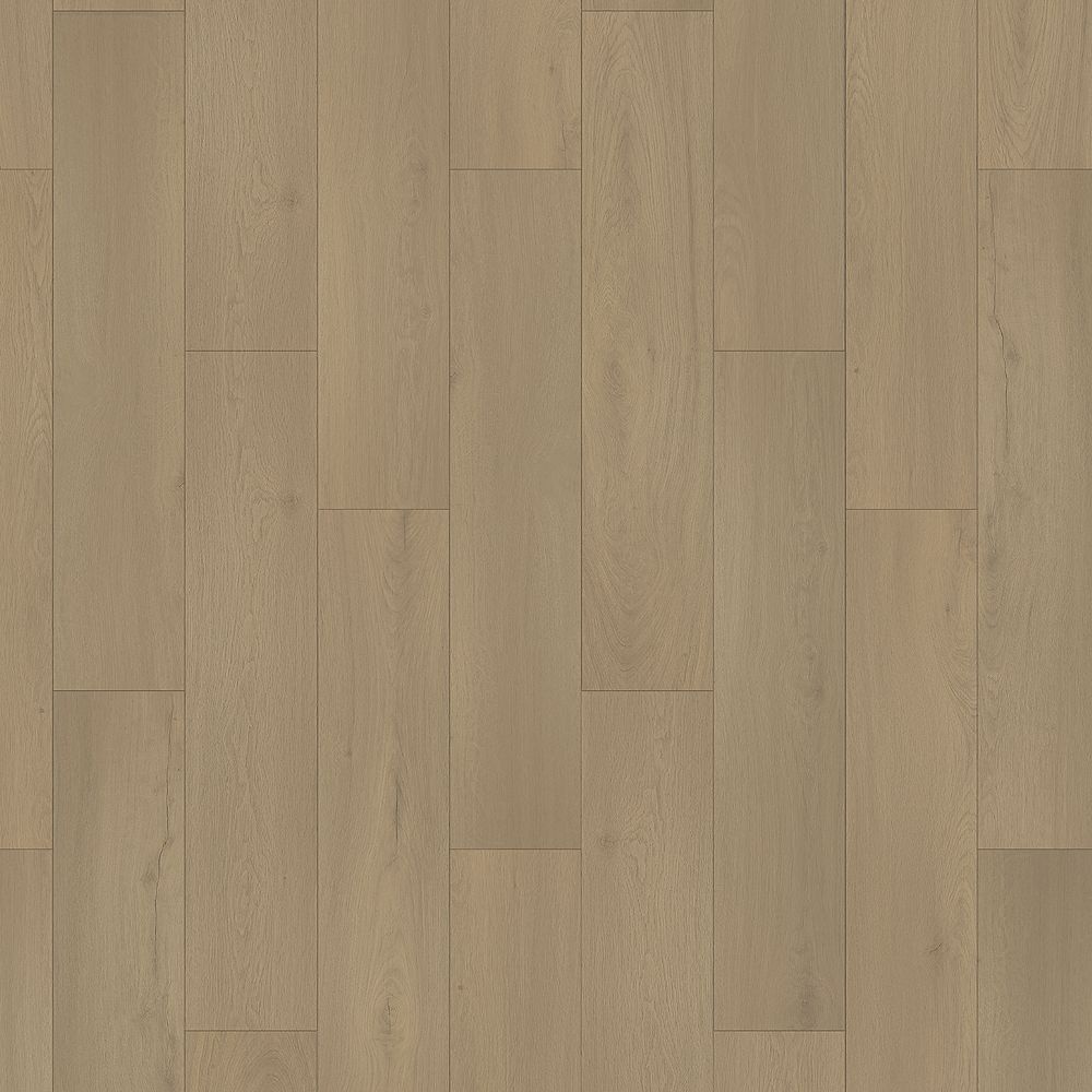 SolidTech Essentials | Whitmore Terrace 4.5