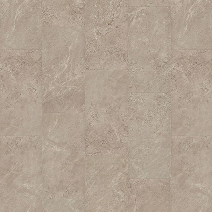 SolidTech Essentials | Whitmore Terrace 4.5