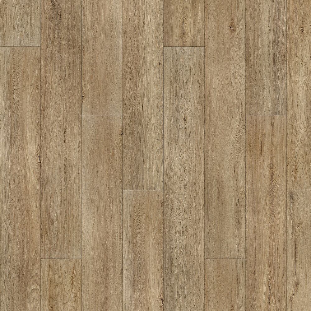 SolidTech Essentials | Whitmore Terrace 4.5