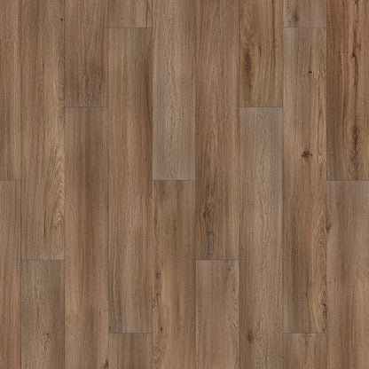SolidTech Essentials | Whitmore Terrace 4.5
