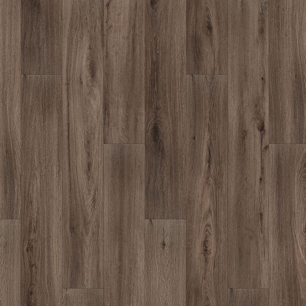 SolidTech Essentials | Whitmore Terrace 4.5