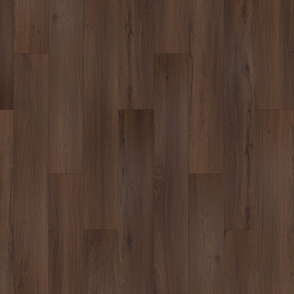 SolidTech Essentials | Whitmore Terrace 4.5