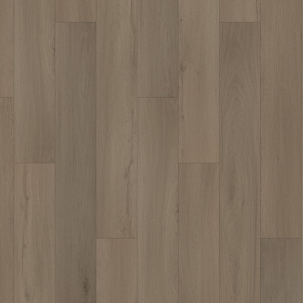 SolidTech Essentials | Whitmore Terrace 4.5