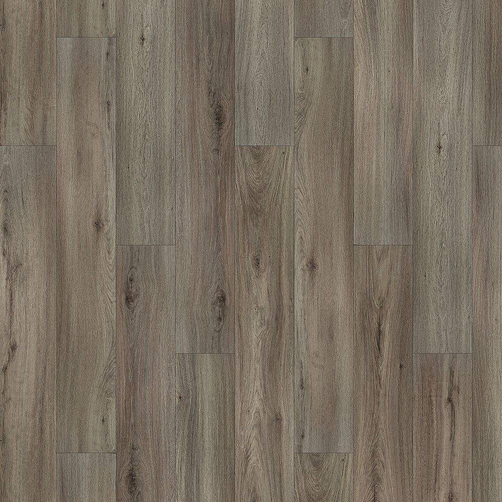 SolidTech Essentials | Whitmore Terrace 4.5