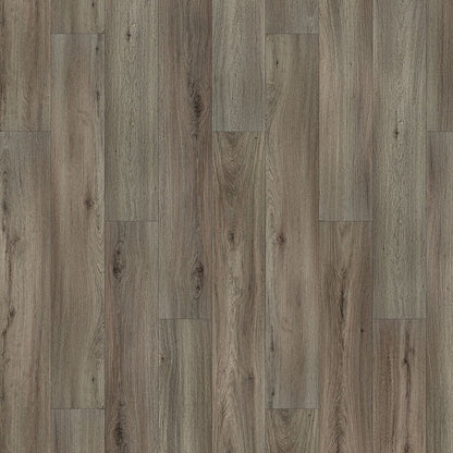 SolidTech Essentials | Whitmore Terrace 4.5