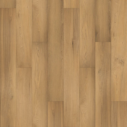 SolidTech Select | Augusta Acres