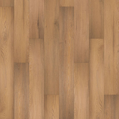 SolidTech Select | Augusta Acres