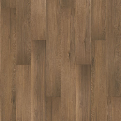 SolidTech Select | Augusta Acres
