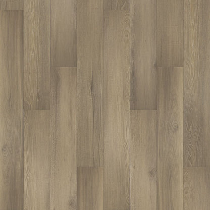 SolidTech Select | Augusta Acres