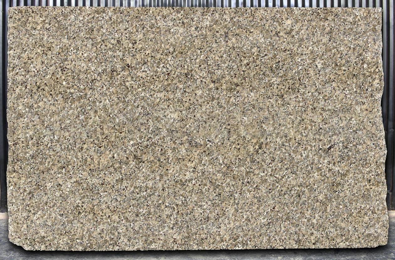 Butterfly Beige