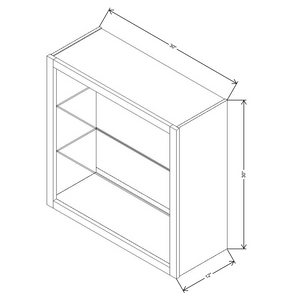 Fabuwood Allure Galaxy Frost 30"W X 30"H Wall No Door