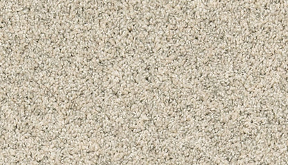 Pet Premier | Paw Pathway
