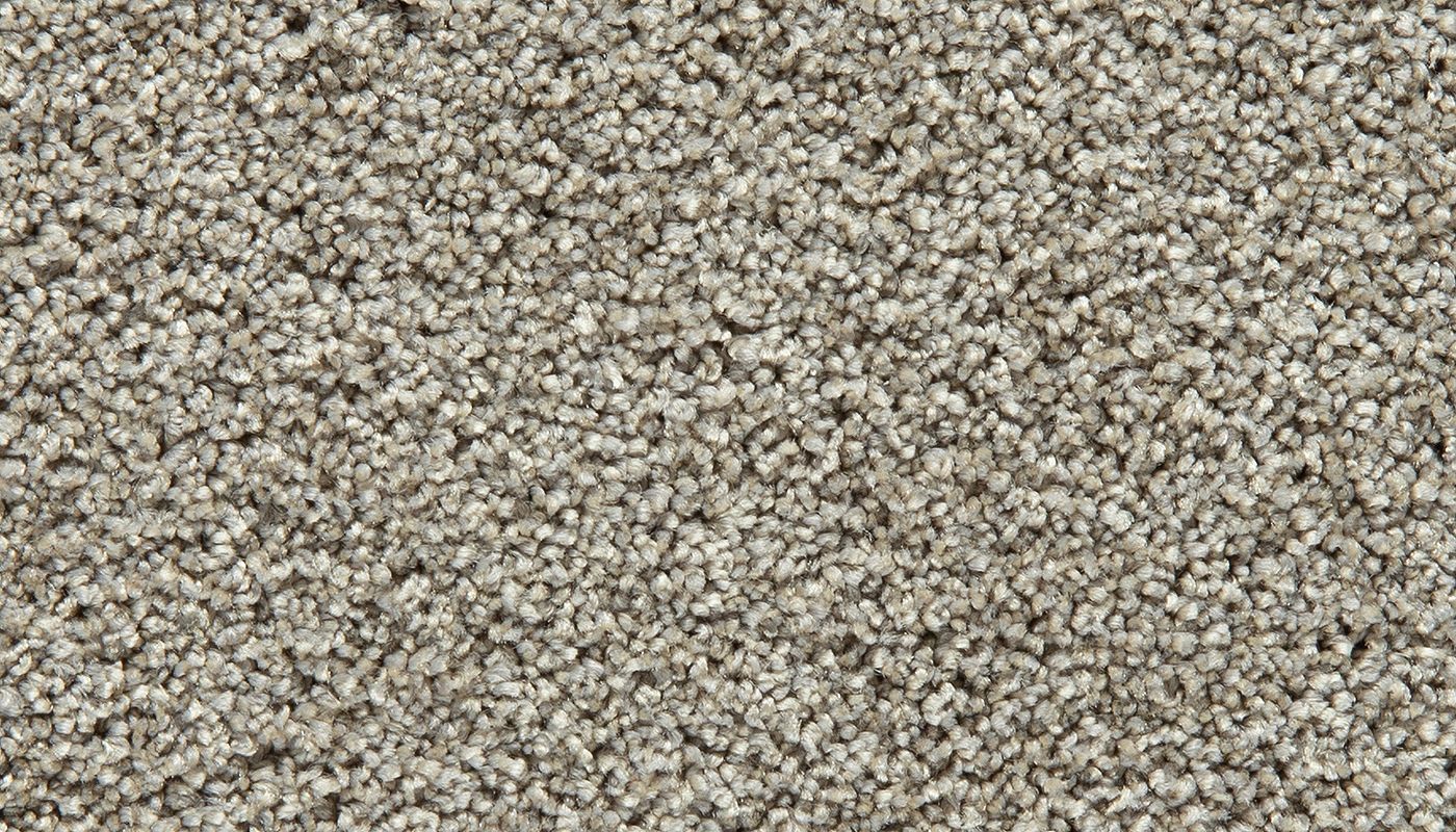Pet Premier | Gentle Guardian I