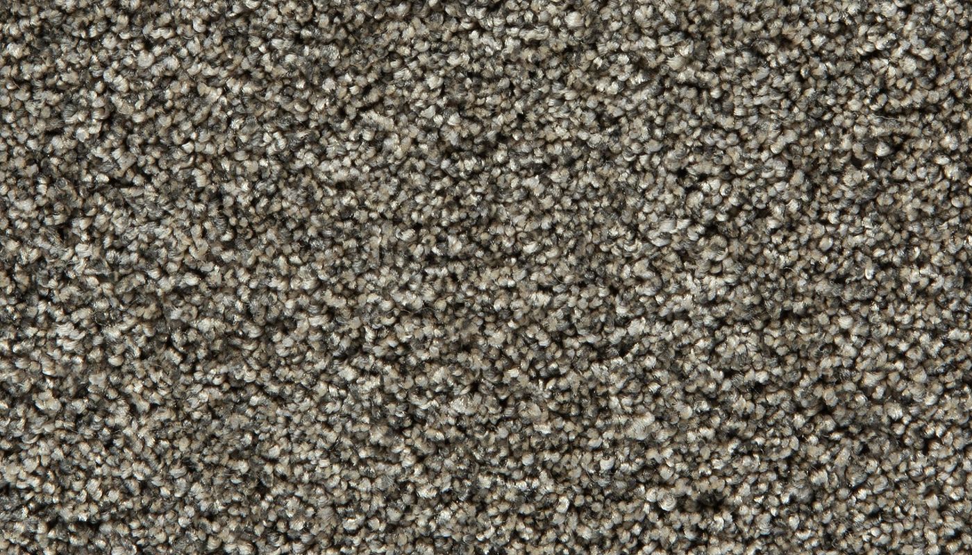 Pet Premier | Cozy Companion III