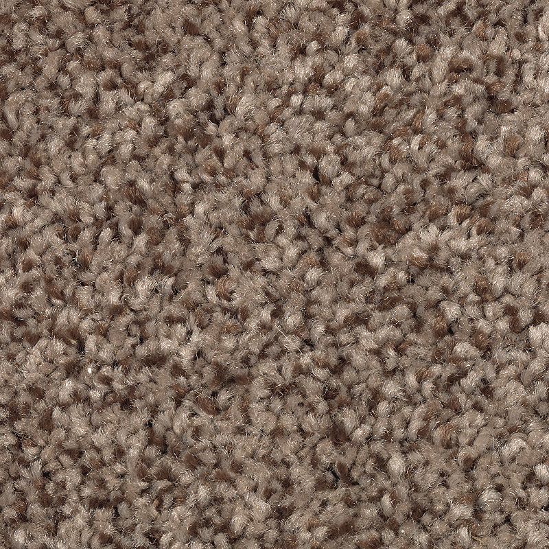 EverStrand | Tonal Chic II
