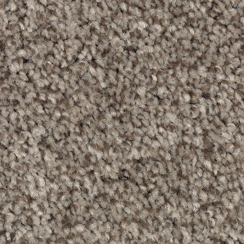 EverStrand | Tonal Chic II