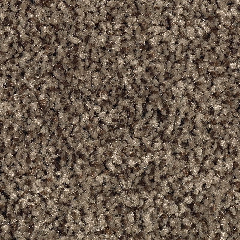 EverStrand | Tonal Chic II