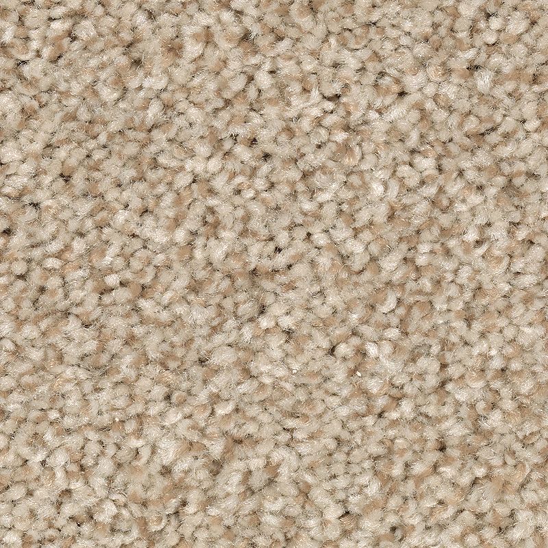 EverStrand | Tonal Chic I