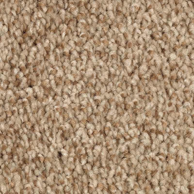 EverStrand | Tonal Chic I