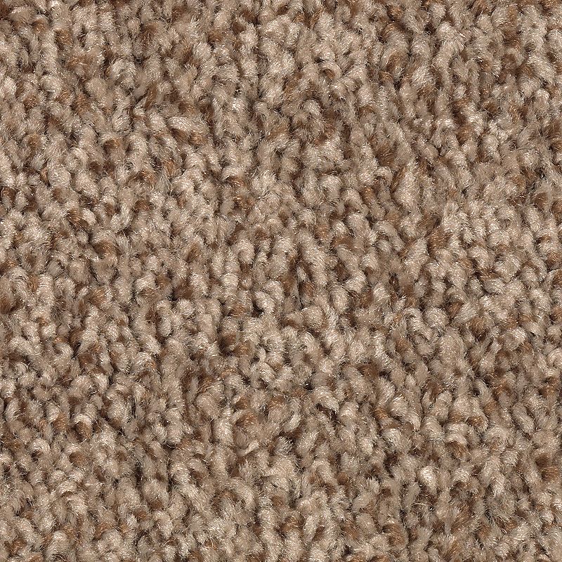 EverStrand | Tonal Chic I