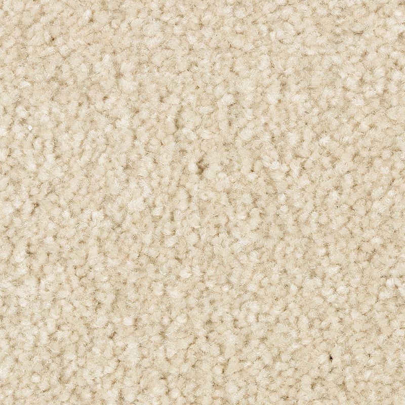 EverStrand | Elegant Appeal II