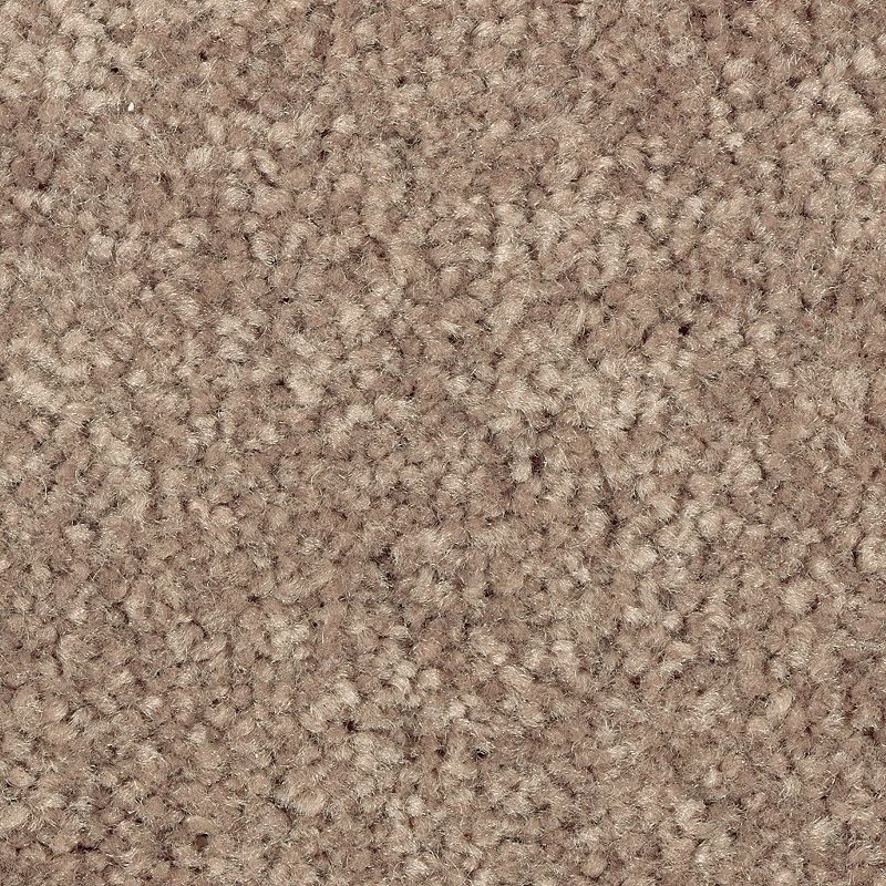 EverStrand | Elegant Appeal II