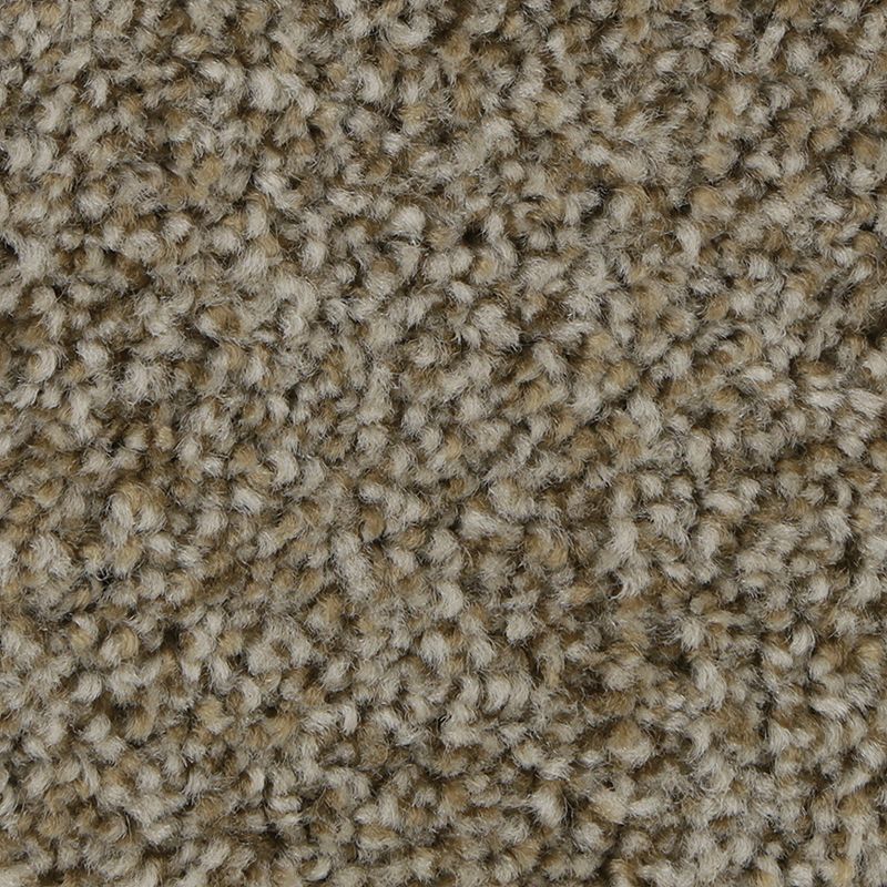 SmartStrand | Polished Shades II