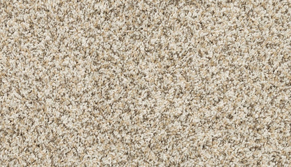 Pet Premier | Diffurent Choice I