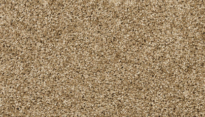 Pet Premier | Diffurent Choice I