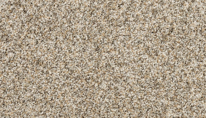 Pet Premier | Diffurent Choice I