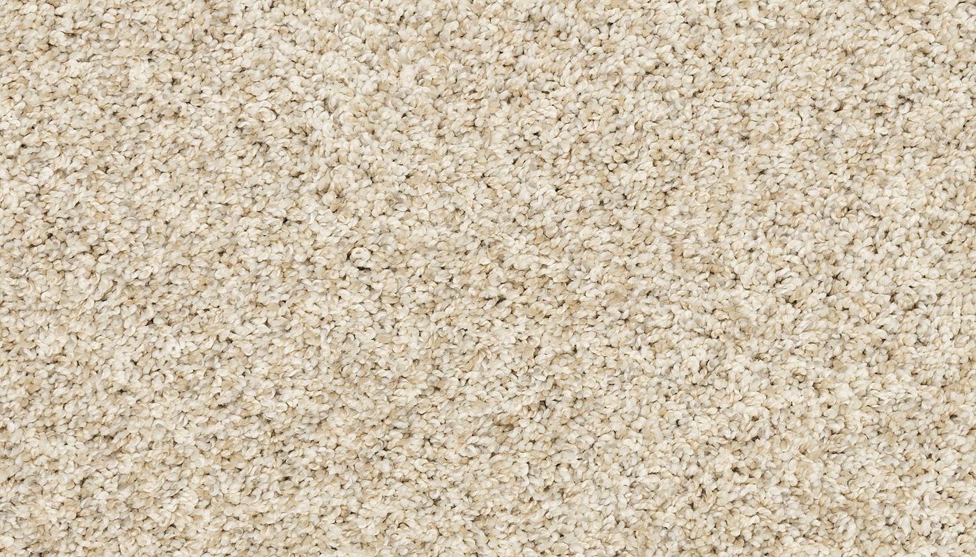 Pet Premier | Diffurent Choice I