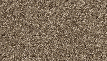 Pet Premier | Diffurent Choice I