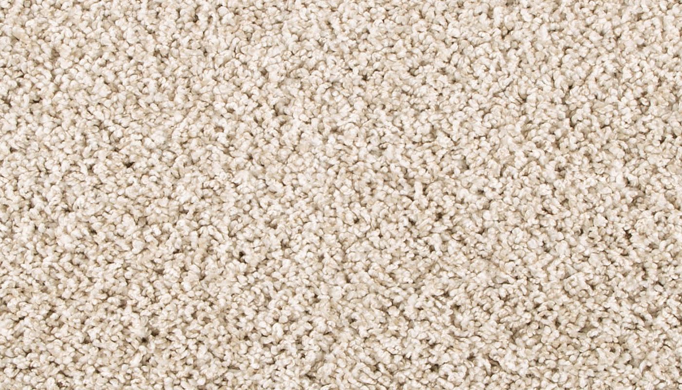 Pet Premier | Diffurent Choice II